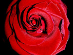 Fotoblog martusiaczka