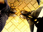 Fotoblog fromhelltoheavenn