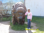 Fotoblog anetahorowska