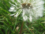 Fotoblog kropaxd