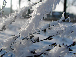 Fotoblog kinialala