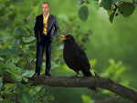 Fotoblog bogdan2008pl