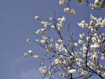 Fotoblog alexsandera