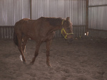 Fotoblog blackhorse1989