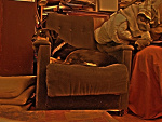Fotoblog azyr