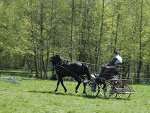 Fotoblog kowboj011