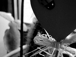 Fotoblog catchordie