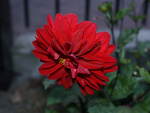 Fotoblog norbert545