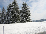 Fotoblog iwonaaak