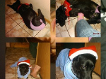 Fotoblog monaliza23