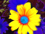 Fotoblog kamyk367