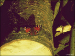 Fotoblog aaagata1995