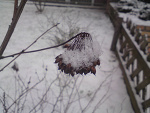 Fotoblog spreadoneswing