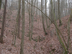 Fotoblog mirek1347