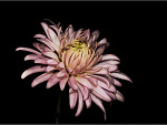 Fotoblog 02martynka1315