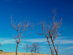 Fotoblog matinis