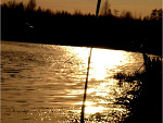 Fotoblog niedowaga