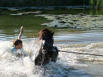 Fotoblog swieciechowa