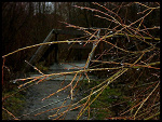 Fotoblog xxlolekxx