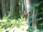 Fotoblog chusteczkihigieniczne
