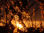 Fotoblog iwogole