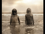Fotoblog bulbul