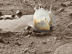 Fotoblog pogodna24
