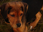 Fotoblog azja666