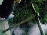 Fotoblog hahaha10