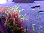 Fotoblog katephotography