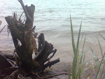 Fotoblog kaasiaa222