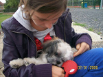 Fotoblog guskagusiaguska