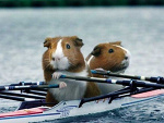 Fotoblog adkaxwpadka