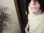 Fotoblog seishisai