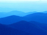 Fotoblog zlyybrzydkiiszczeryy