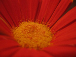 Fotoblog kiniaijejaparat