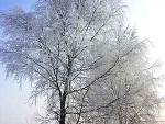 Fotoblog alutka2907