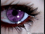 Fotoblog syfia