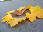 Fotoblog dawid152