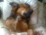 Fotoblog patryk970328