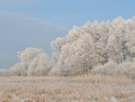 Fotoblog mmws