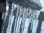 Fotoblog mynick