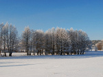 Fotoblog radec