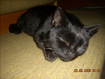 Fotoblog long241