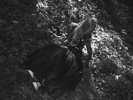 Fotoblog hippis666