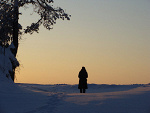 Fotoblog fujcia