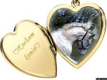 Fotoblog koniarkaxdd