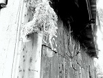 Fotoblog 22aluska22