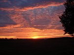 Fotoblog pannabobianna