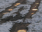 Fotoblog turpis